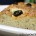 focaccia