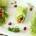 Sweet and sour salad wraps